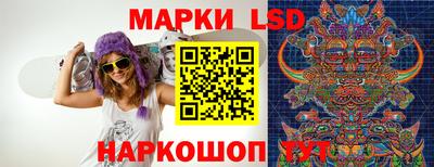 a pvp Кингисепп