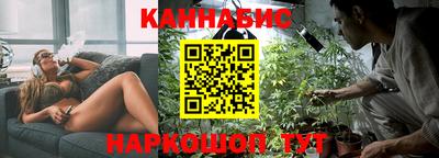 a pvp Кингисепп