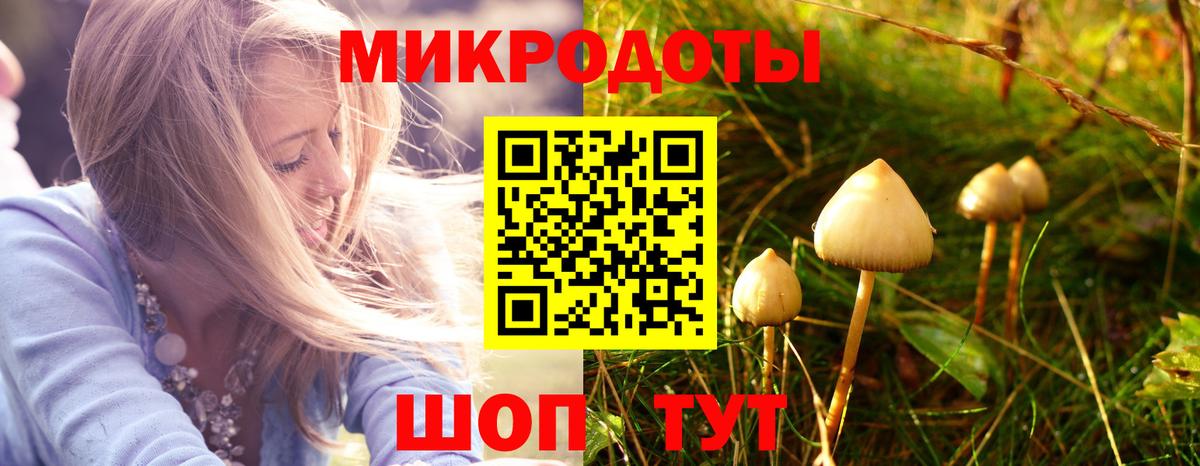 Галлюциногенные грибы MAGIC MUSHROOMS  Галлюциногенные грибы ЛСД  Шали  Вход с VPN 