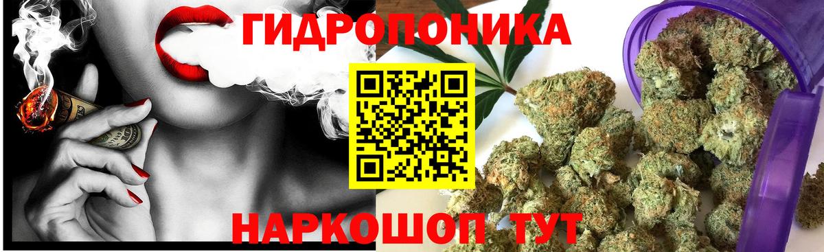 Бошки Шишки AK-47  Вход с VPN  Бошки Шишки Bruce Banner  Шали  Канабис White Widow 